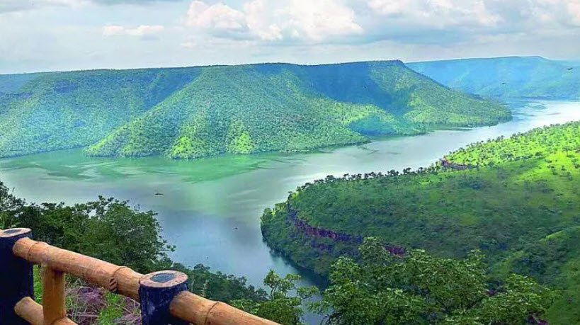 Octopus Viewpoint